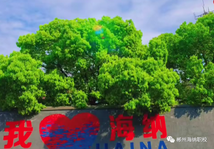 淺談中職學(xué)生如何形成良好的職業(yè)行為習(xí)慣(圖3)